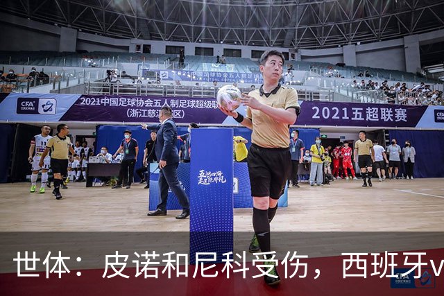 世体：皮诺和尼科受伤，西班牙vs奥地利时加维有望获得出场机会