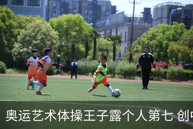 奥运艺术体操王子露个人第七 创中国历史最好成绩
