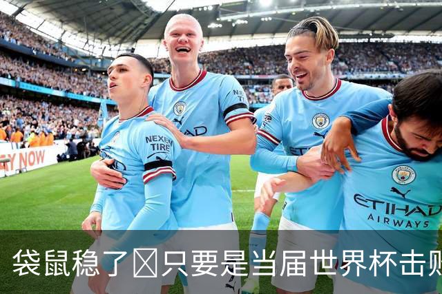 袋鼠稳了😂只要是当届世界杯击败土耳其的球队，均能最后夺冠